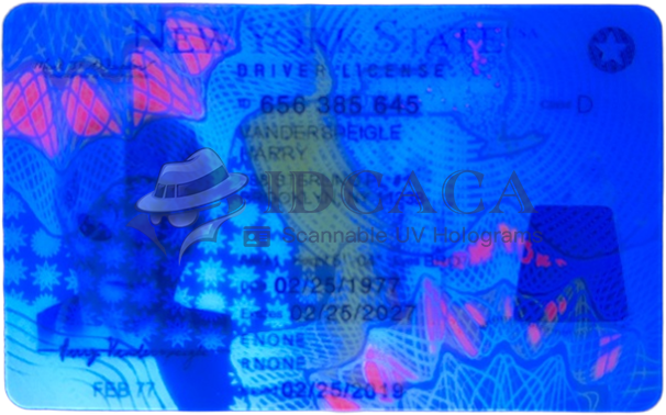 New York Old Version UV